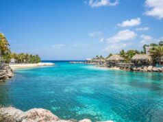 Worst Things to Tell a Flight Attendant